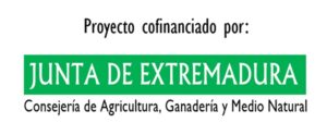 junta